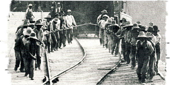 Chinese Workers at Tod Inlet, B.C.